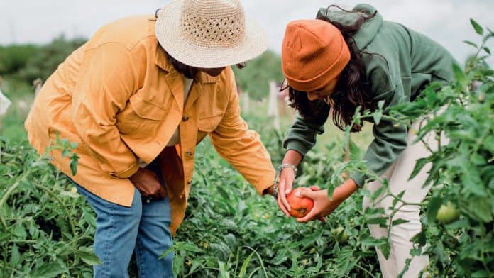 Contro il caporalato con l'agricoltura sociale