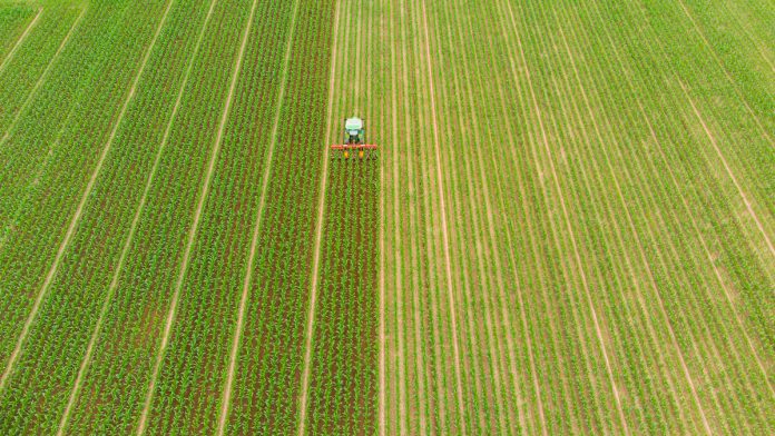 Proposte per valorizzare la filiera agricola italiana