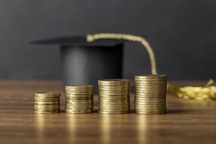 Laurea in economia e opportunità nella Pa